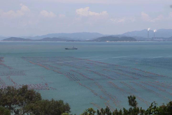 布满浮筒的大海